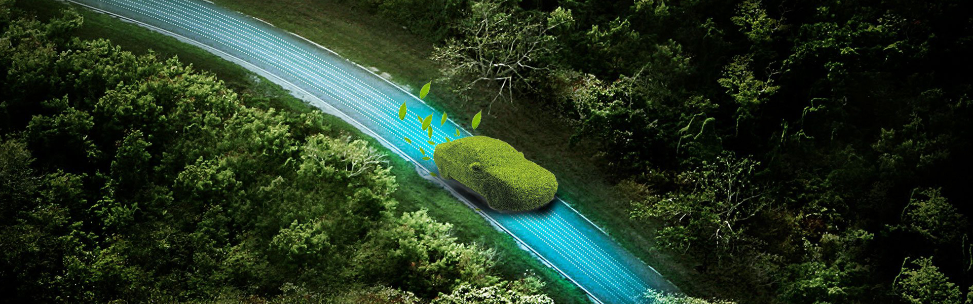 Automotive Magnet Assemblies